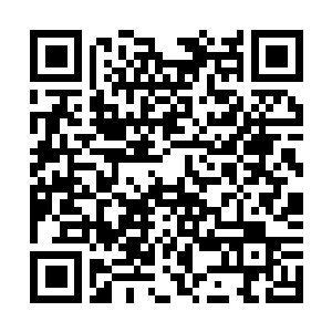 Lien vers votre campagne QRCode - Collecte de fonds