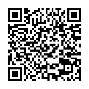 Lien vers votre campagne QRCode - Collecte de fonds