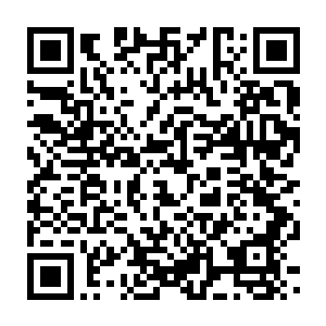 Lien vers votre campagne QRCode - Collecte de fonds
