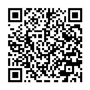 Lien vers votre campagne QRCode - Collecte de fonds