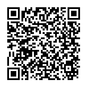 Lien vers votre campagne QRCode - Collecte de fonds