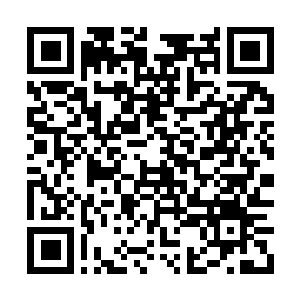 Lien vers votre campagne QRCode - Collecte de fonds