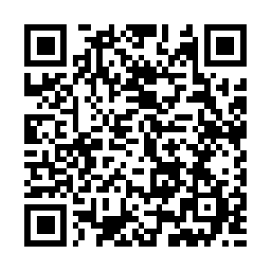 Lien vers votre campagne QRCode - Collecte de fonds