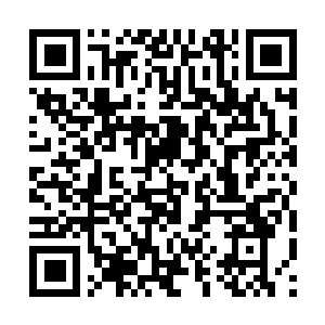 Lien vers votre campagne QRCode - Collecte de fonds