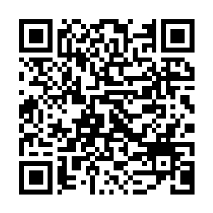 Lien vers votre campagne QRCode - Collecte de fonds