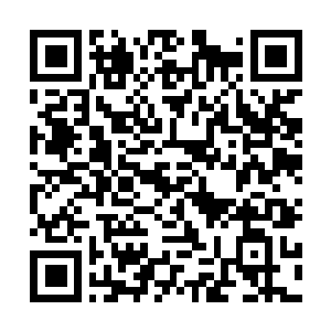 Lien vers votre campagne QRCode - Collecte de fonds