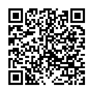 Lien vers votre campagne QRCode - Collecte de fonds