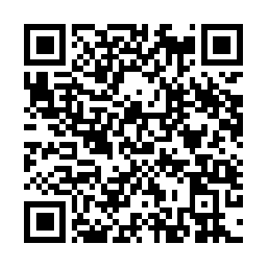 Lien vers votre campagne QRCode - Collecte de fonds