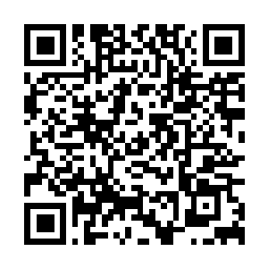 Lien vers votre campagne QRCode - Collecte de fonds