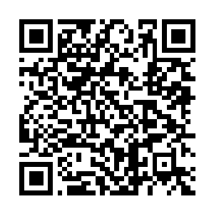 Lien vers votre campagne QRCode - Collecte de fonds