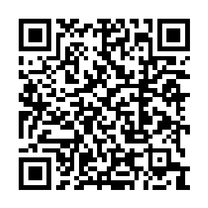 Lien vers votre campagne QRCode - Collecte de fonds