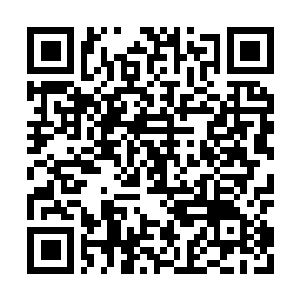 Lien vers votre campagne QRCode - Collecte de fonds
