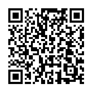Lien vers votre campagne QRCode - Collecte de fonds