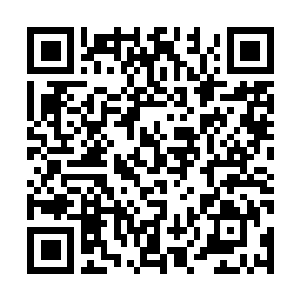 Lien vers votre campagne QRCode - Collecte de fonds