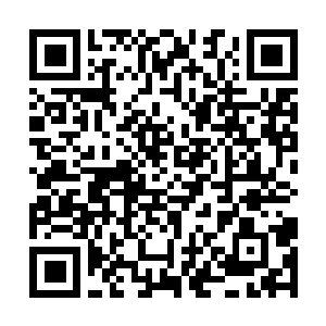 Lien vers votre campagne QRCode - Collecte de fonds