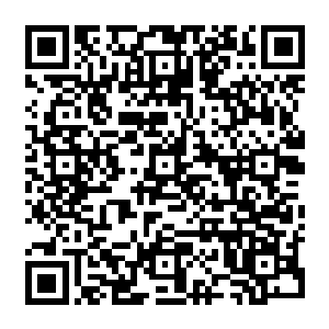 Lien vers votre campagne QRCode - Collecte de fonds