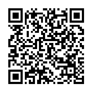 Lien vers votre campagne QRCode - Collecte de fonds