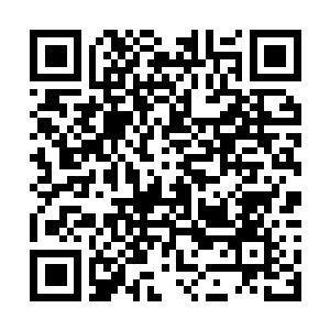 Lien vers votre campagne QRCode - Collecte de fonds