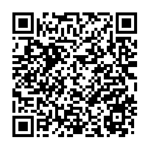 Lien vers votre campagne QRCode - Collecte de fonds