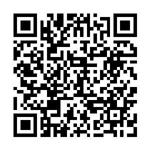 Lien vers votre campagne QRCode - Collecte de fonds