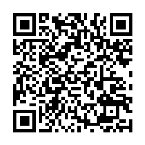 Lien vers votre campagne QRCode - Collecte de fonds