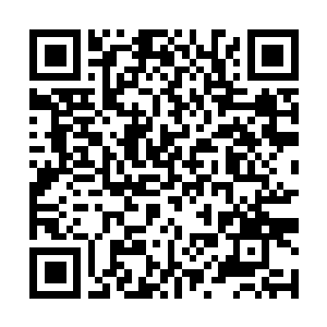 Lien vers votre campagne QRCode - Collecte de fonds