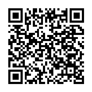 Lien vers votre campagne QRCode - Collecte de fonds