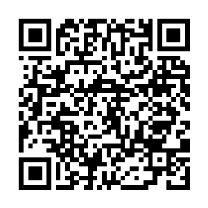 Lien vers votre campagne QRCode - Collecte de fonds