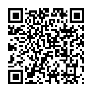 Lien vers votre campagne QRCode - Collecte de fonds