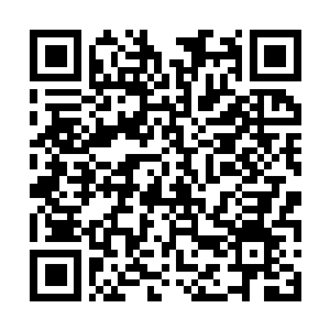 Lien vers votre campagne QRCode - Collecte de fonds