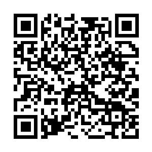 Lien vers votre campagne QRCode - Collecte de fonds