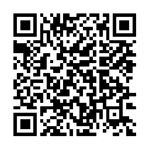 Lien vers votre campagne QRCode - Collecte de fonds