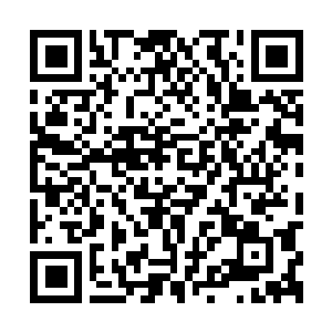 Lien vers votre campagne QRCode - Collecte de fonds