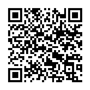 Lien vers votre campagne QRCode - Collecte de fonds