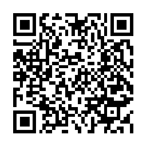Lien vers votre campagne QRCode - Collecte de fonds