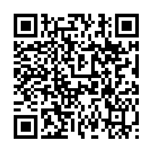 Lien vers votre campagne QRCode - Collecte de fonds