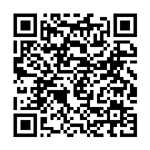 Lien vers votre campagne QRCode - Collecte de fonds