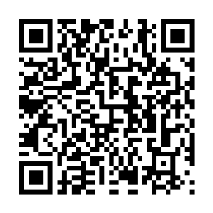 Lien vers votre campagne QRCode - Collecte de fonds