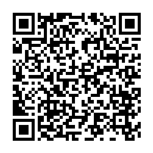 Lien vers votre campagne QRCode - Collecte de fonds
