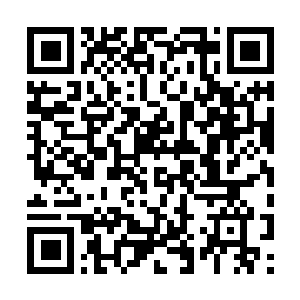 Lien vers votre campagne QRCode - Collecte de fonds