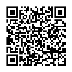 Lien vers votre campagne QRCode - Collecte de fonds