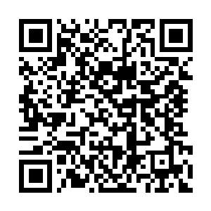 Lien vers votre campagne QRCode - Collecte de fonds