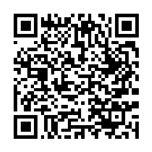 Lien vers votre campagne QRCode - Collecte de fonds