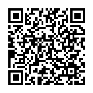 Lien vers votre campagne QRCode - Collecte de fonds