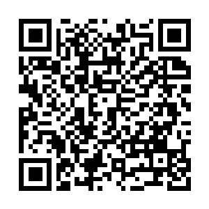 Lien vers votre campagne QRCode - Collecte de fonds