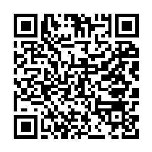 Lien vers votre campagne QRCode - Collecte de fonds
