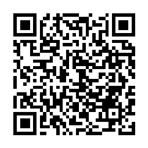 Lien vers votre campagne QRCode - Collecte de fonds