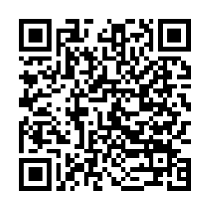 Lien vers votre campagne QRCode - Collecte de fonds