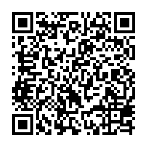 Lien vers votre campagne QRCode - Collecte de fonds