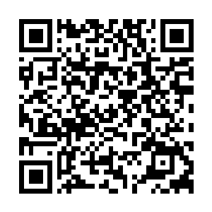 Lien vers votre campagne QRCode - Collecte de fonds